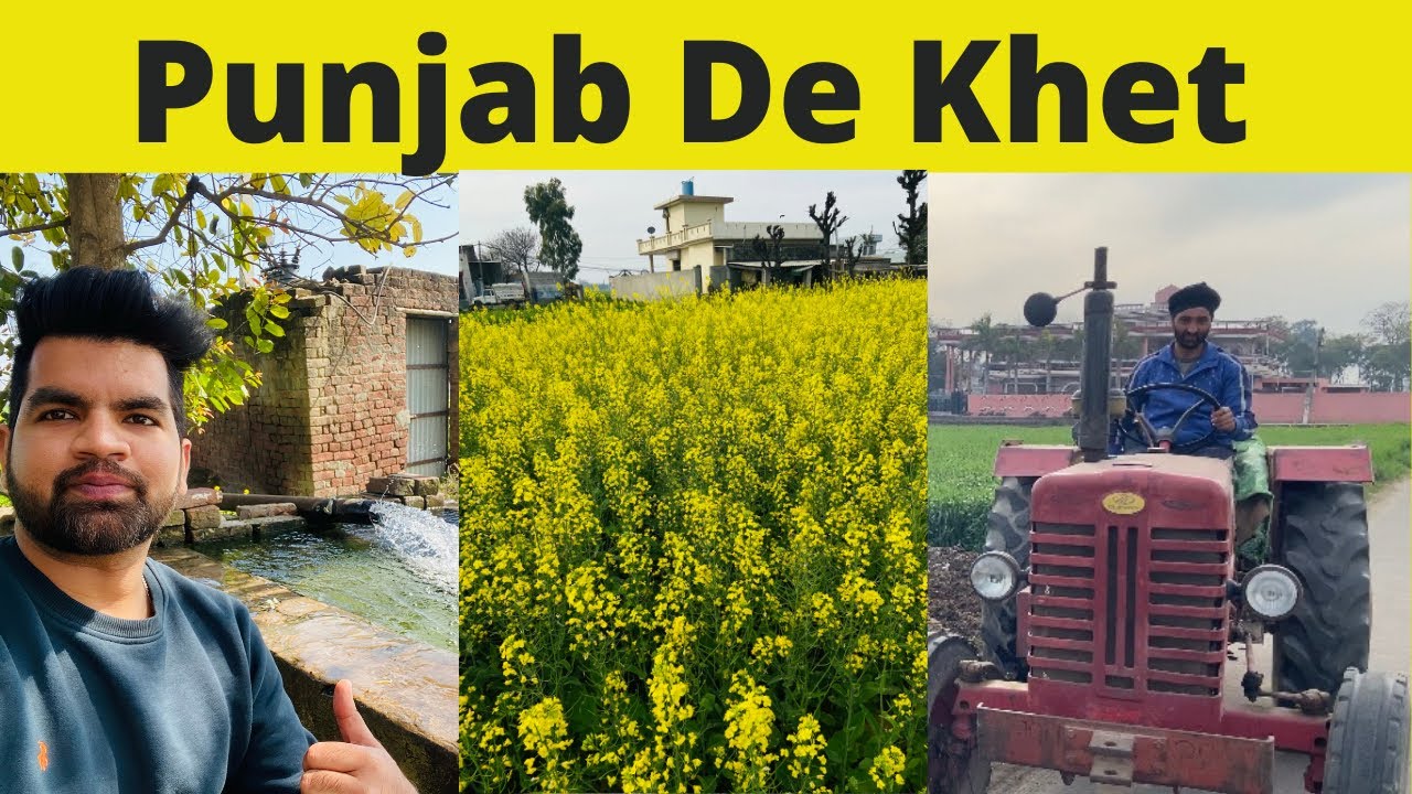 Punjab Village Life !! Punjab village Vlog !! Punjab De khet !! Punjab vlogs !!