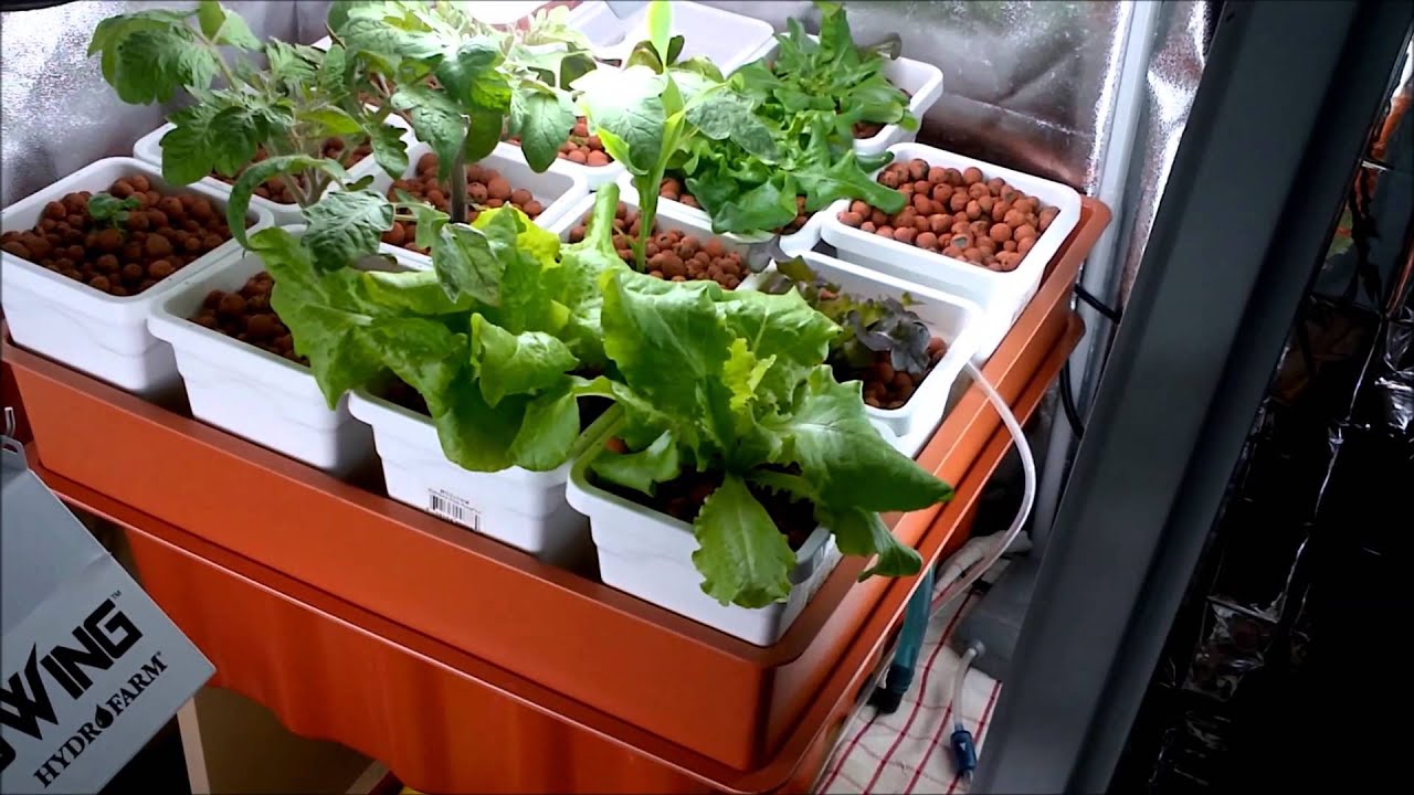 12/28/12 - Indoor grow room update