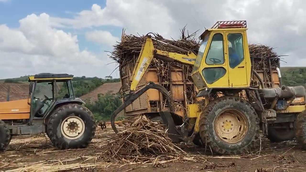 Pernambuco e a muage da cana 