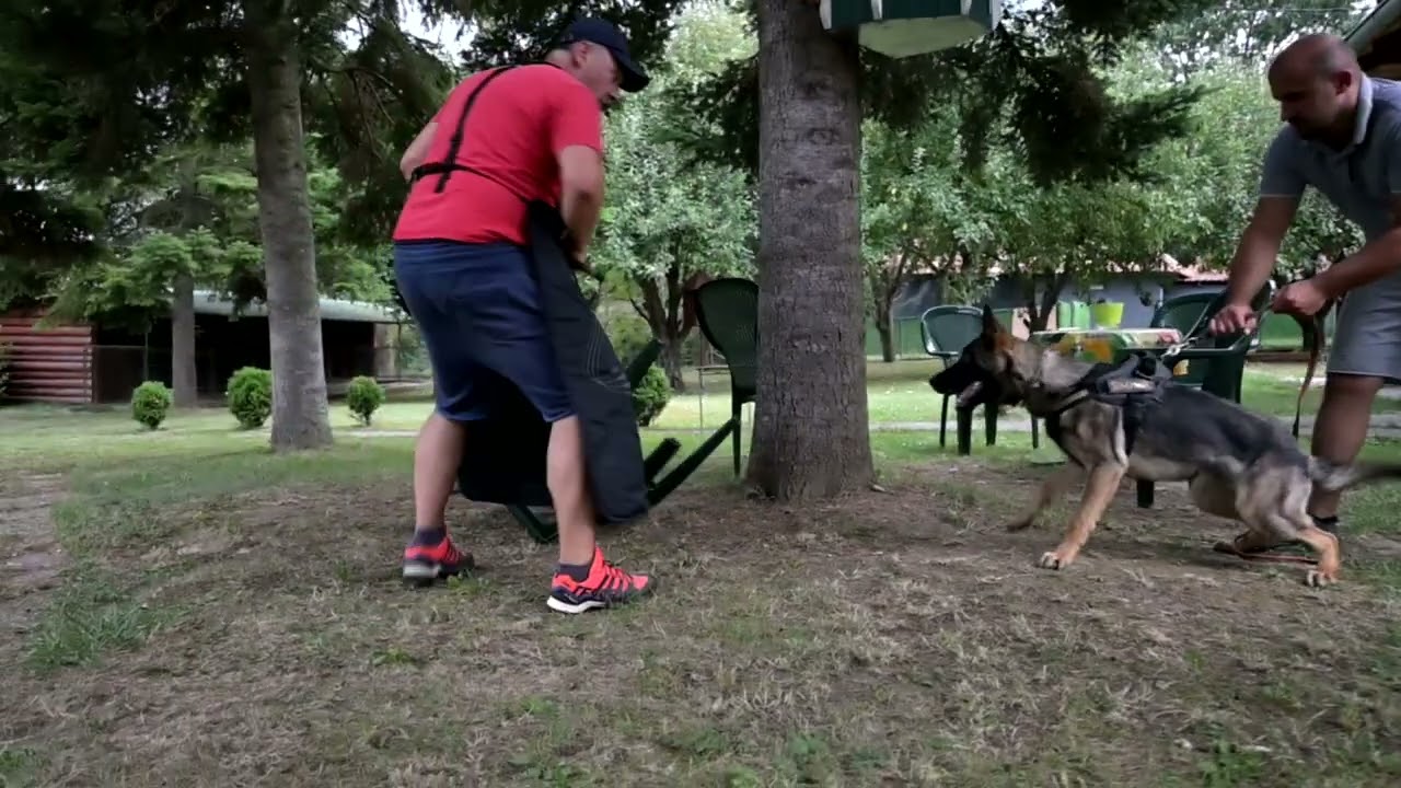 Kassel von Simpor - part of personal protection training