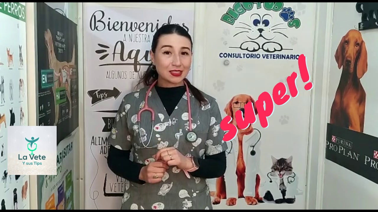 CADA CUÁNTO SE DEBE DESPARASITAR A NUESTRAS MASCOTAS ❤️