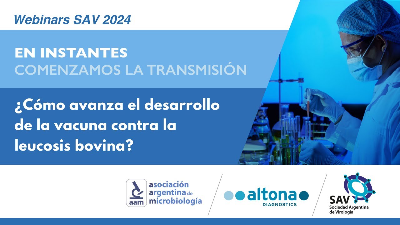 ¿Cómo avanza el desarrollo de la vacuna contra la leucosis bovina?