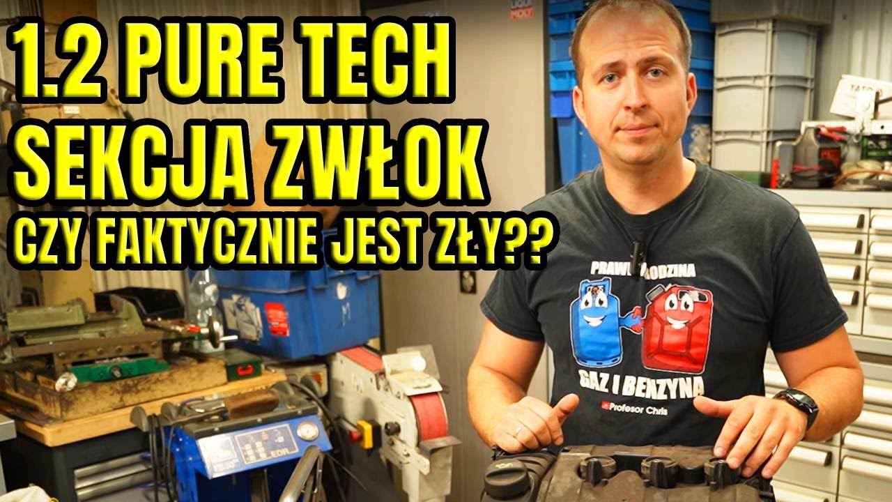 1.2 PURE TECH, SEKCJA SILNIKA, ANALIZA USZKODZEŃ