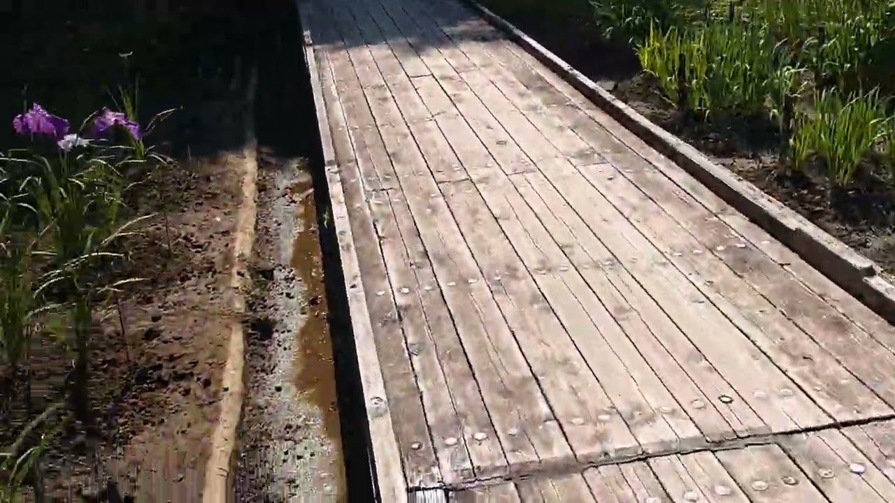 吹上しょうぶ園