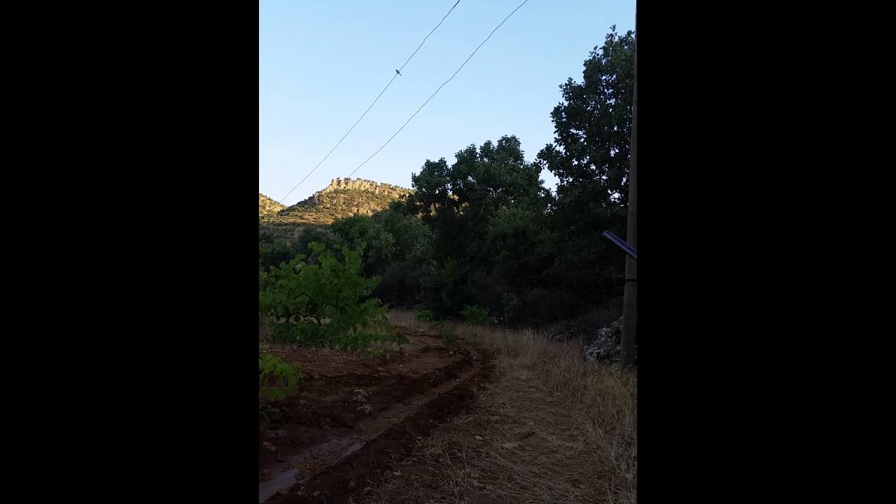 B&ouml;yle atış yaban TV de bile yok.