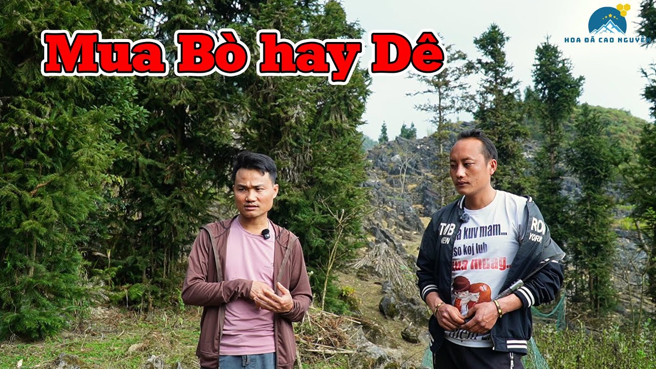 MÓN QUÀ CỰC LỚN CHO 3 CHÚ CHÁU | SỰ HỖ TRỢ KỊP THỜI TỪ MỸ CUỘC SỐNG 3 CHÚ CHÁU SẼ THAY ĐỔI | HĐCN