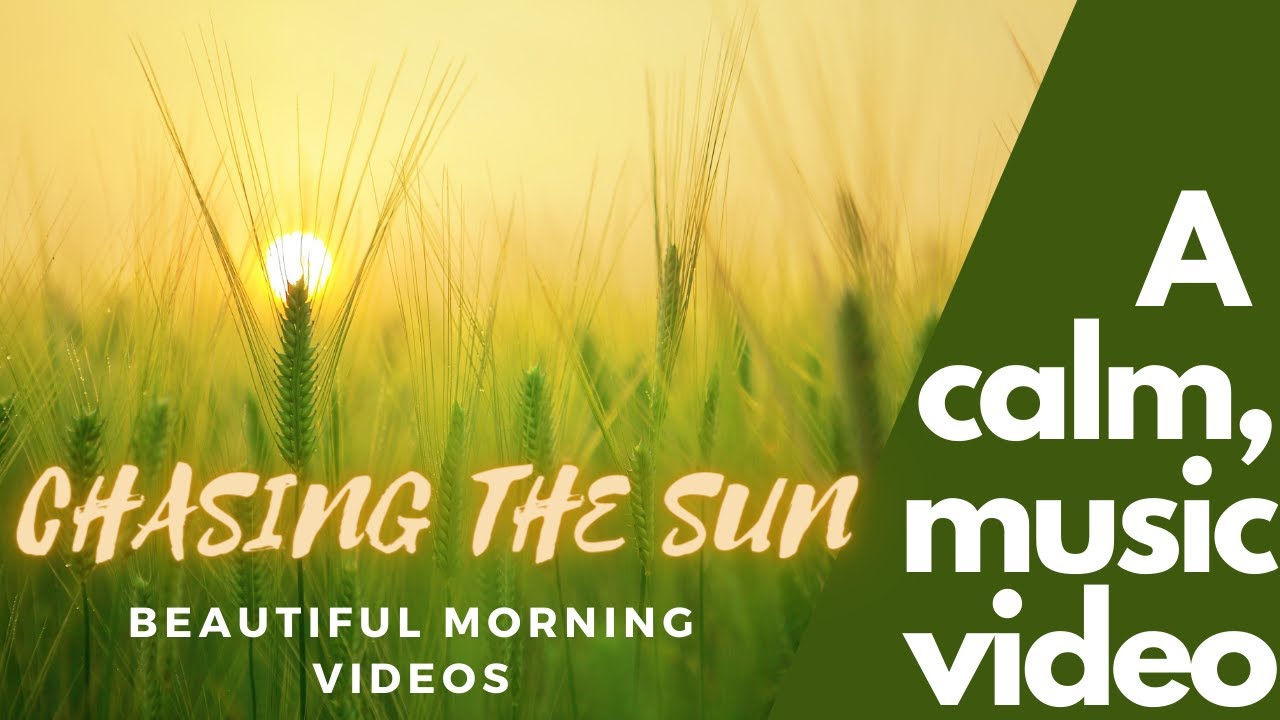 Beautiful Morning Cinematic Videos with Relaxing Music - 4K | Sunrise Video Compilation