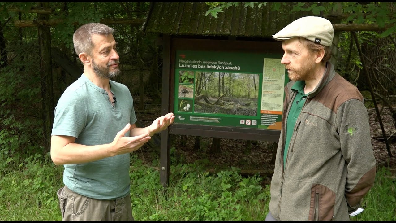 Lužní lesy v běhu času - NPR Ranšpurk