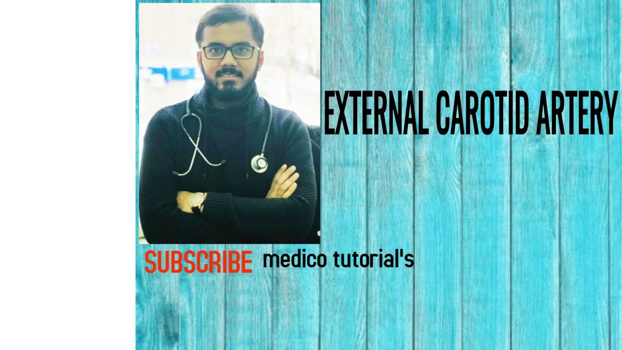 EXTERNAL CAROTID ARTERY