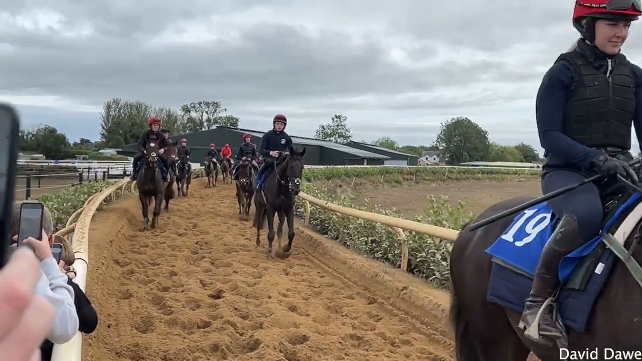 GAVIN CROMWELL'S OPEN DAY 25TH SEPT 2022