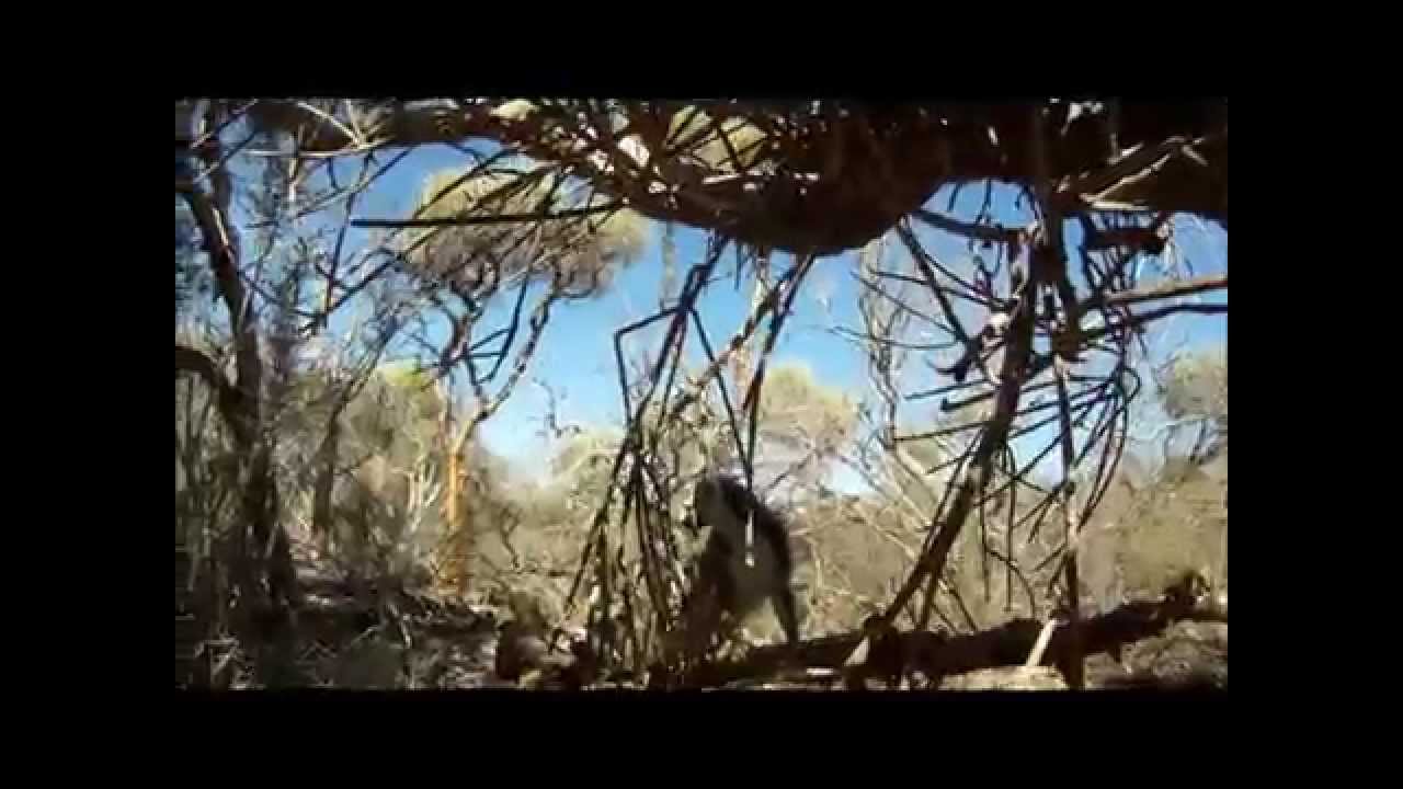 Balade et plongée à Madagascar