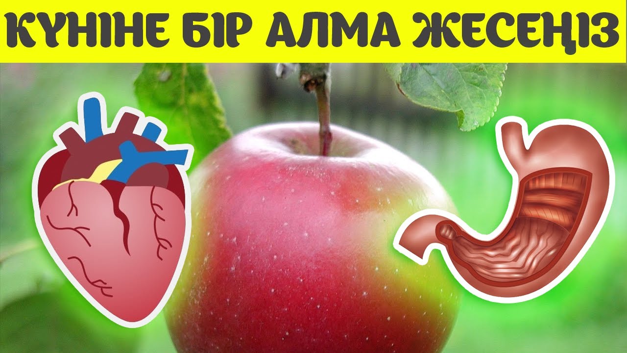 КҮН САЙЫН БІР АЛМА ЖЕСЕҢІЗ 10 ӨЗГЕРІС АҒЗАҢЫЗДЫ ТАЗАЛАП, ҚАН ҚЫСЫМЫ, ЖҮРЕККЕ ПАЙДАЛЫ, Керек арнасы