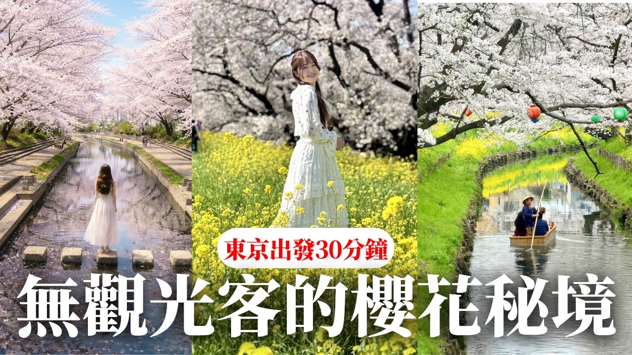 東京出發30分鐘！0觀光客櫻花景點🌸 住日本台灣人的私房櫻花秘境🥰｜日本有個U1