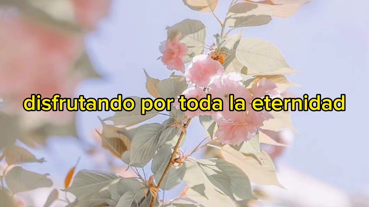 Quiero verte allá en el cielo pista con coros y letra - Alejandra Vera