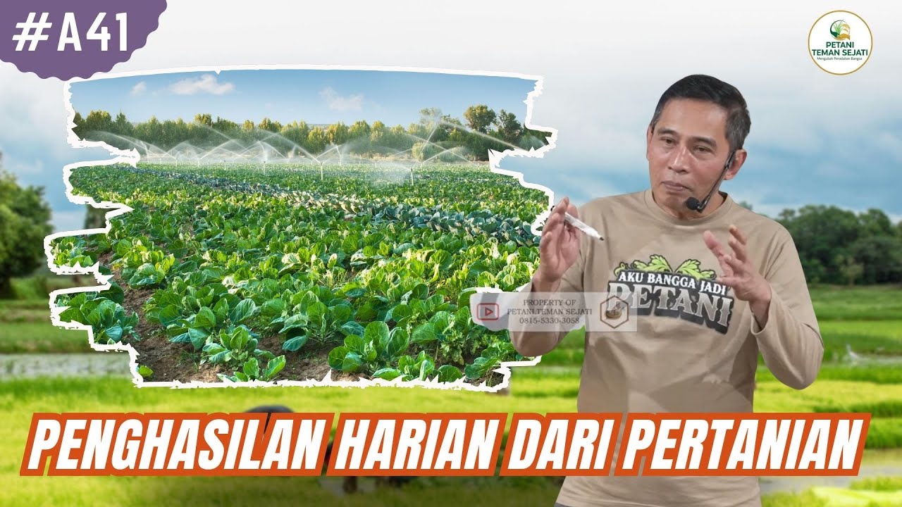 Cara Mendapatkan Penghasilan Harian dari Pertanian