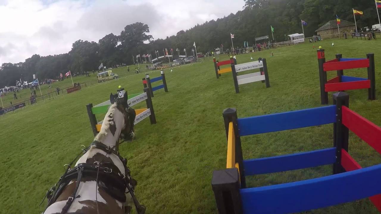 Derby Lowther 2016 - Carriage Driving - Team Boswell