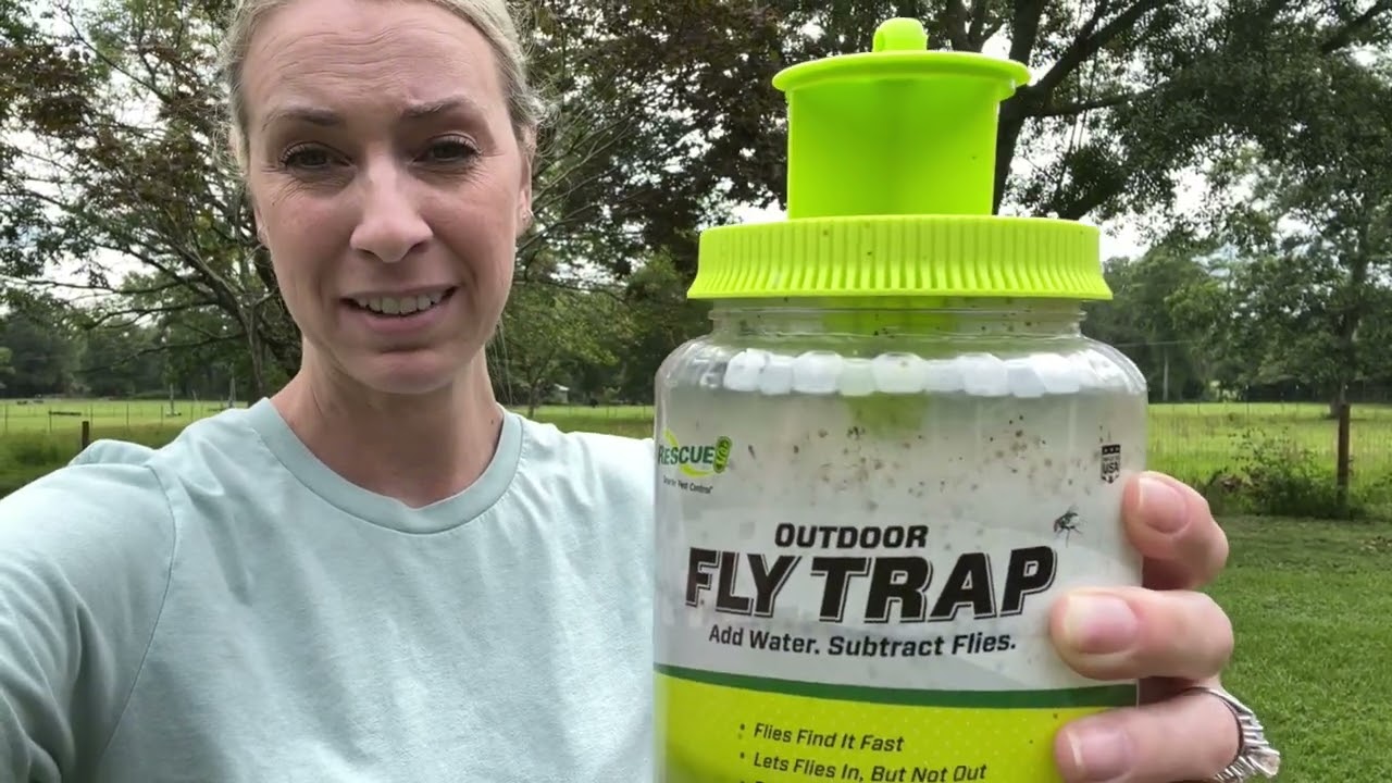 RESCUE! Outdoor Fly Trap - Reusable - 3 Traps Review!