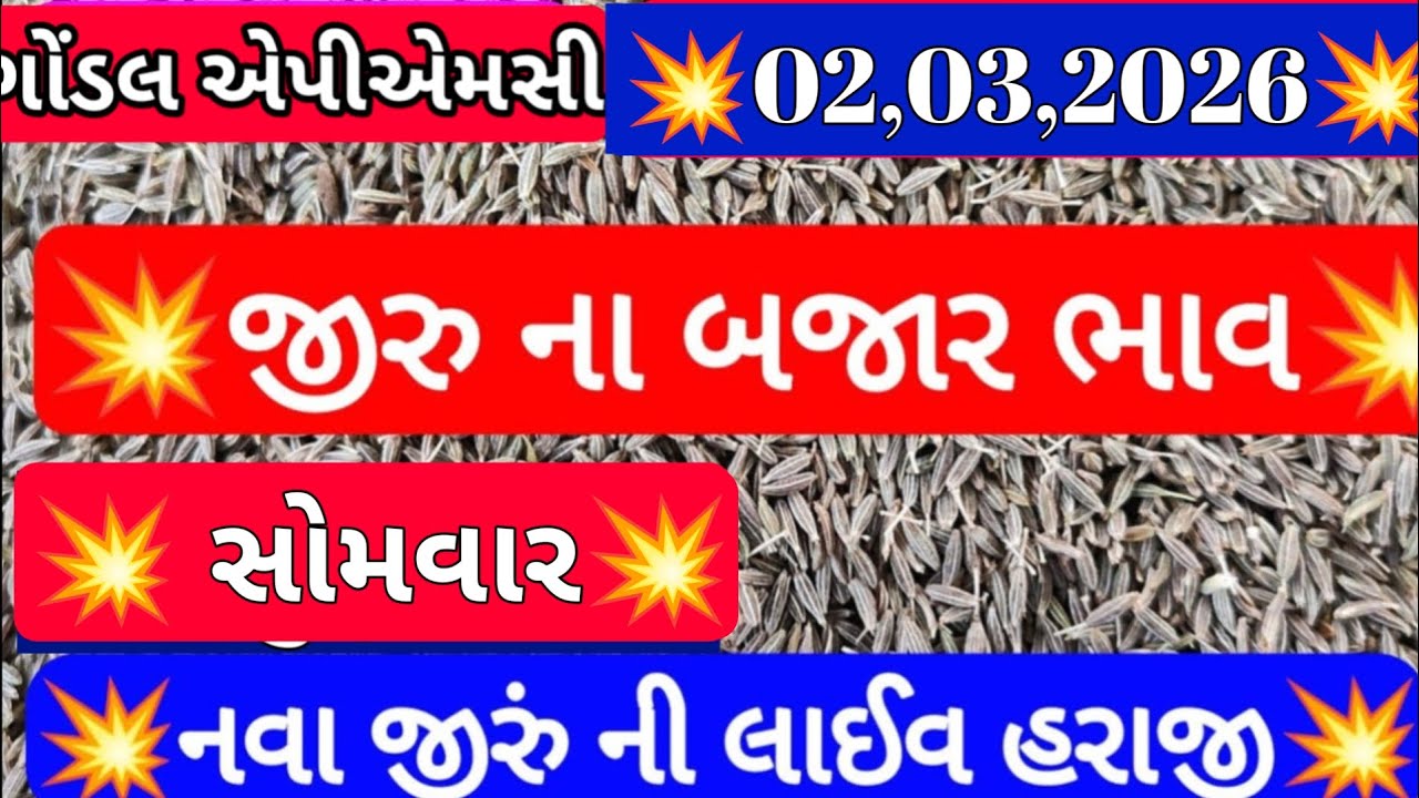નવા જીરા ના બજાર ભાવ / આજના જીરાના બજાર ભાવ / ગોંડલ જીરાના બજાર ભાવ / 02,03,2026
