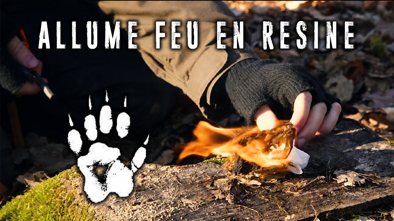 Technique de survie: allume feu en résine de pin