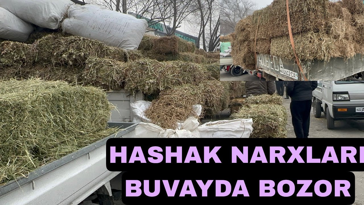 BEDA MOSH YERYONĞOQ POYA PRESLAR NARXLARI BILAN TANISHING OBUNA BØLING 