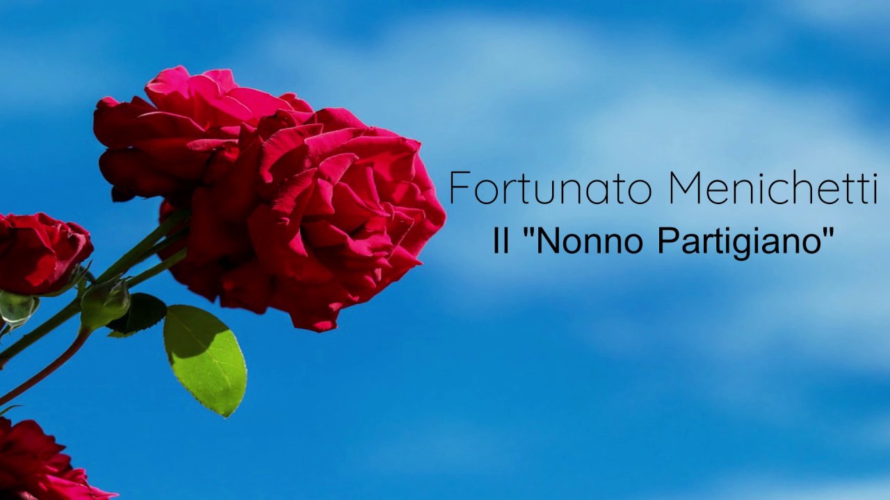 Foglie di Vite - Fortunato Menichetti