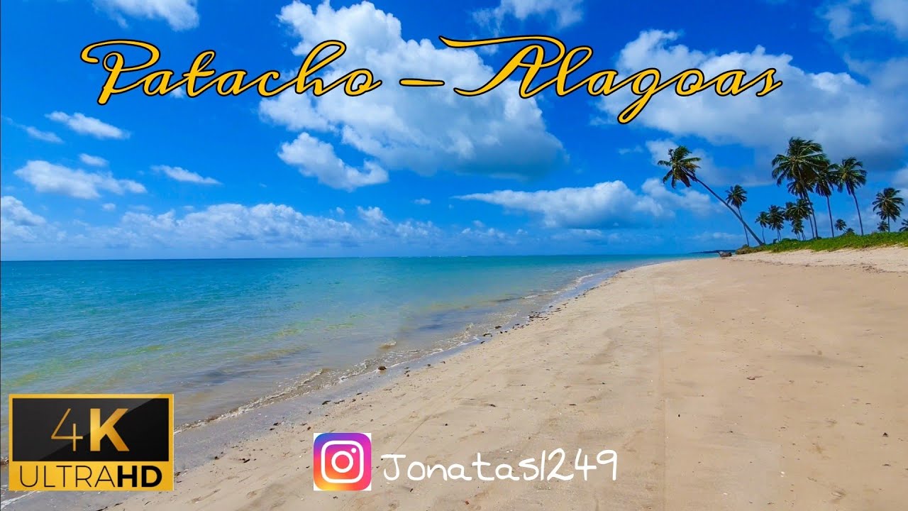 Praia do Patacho Porto de Pedras Rota Ecológica dos Milagres Alagoas 4k