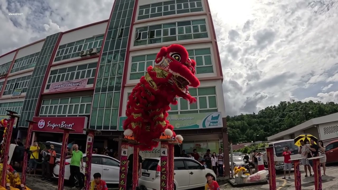 lion dance high pole performance for shop opening by SSG sabah