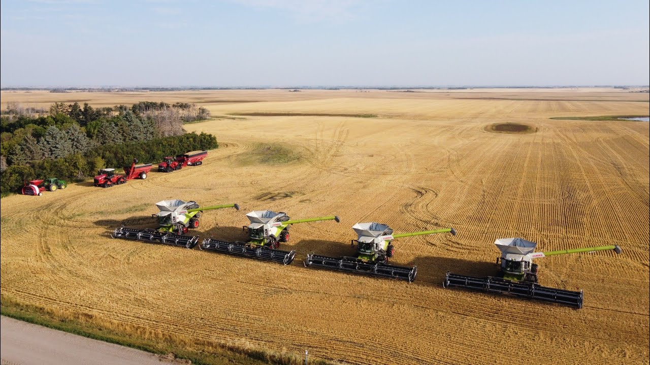 2023 harvest in Saskatchewan / moisson 2023 au Canada