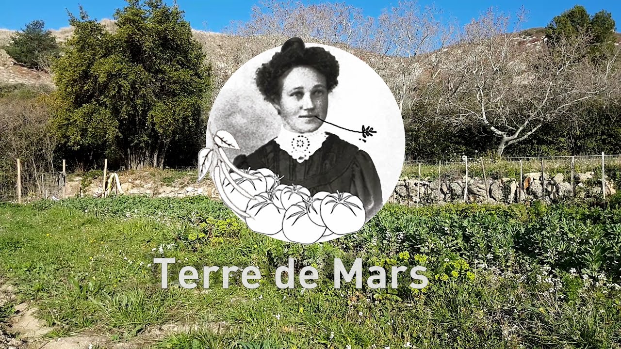 Terre de Mars, agriculture urbaine à Marseille
