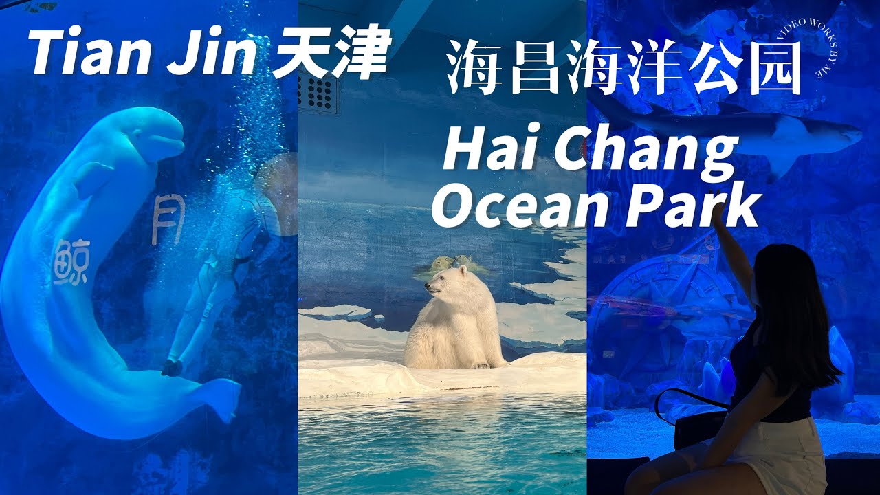 A Day at Tianjin Haichang Polar Ocean Park🐧🐋天津滨海海昌极地海洋公园