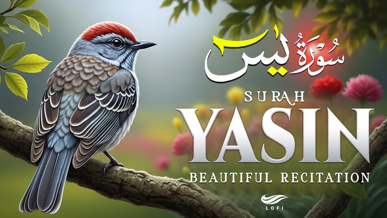 Surah Yasin (Yaseen) سورة يس ✪ Beautiful Quran Recitation ✪