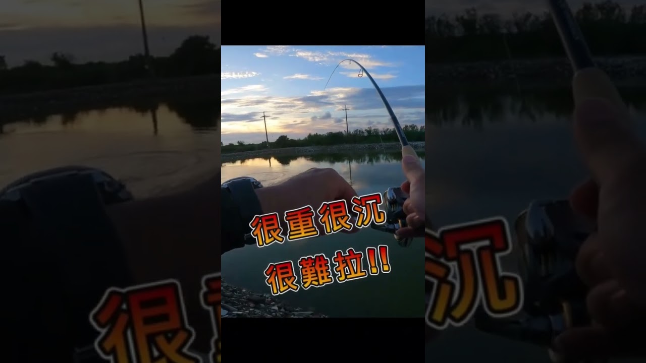 根魚釣到大金目鱸的下場就是⋯ #路亞 #根魚 #金目鱸 #jimmy
