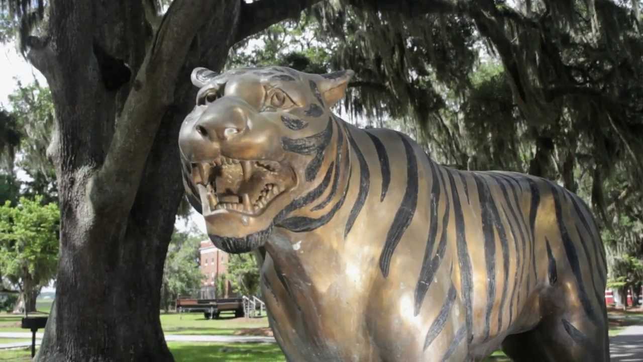 Savannah State University (SSU) Video