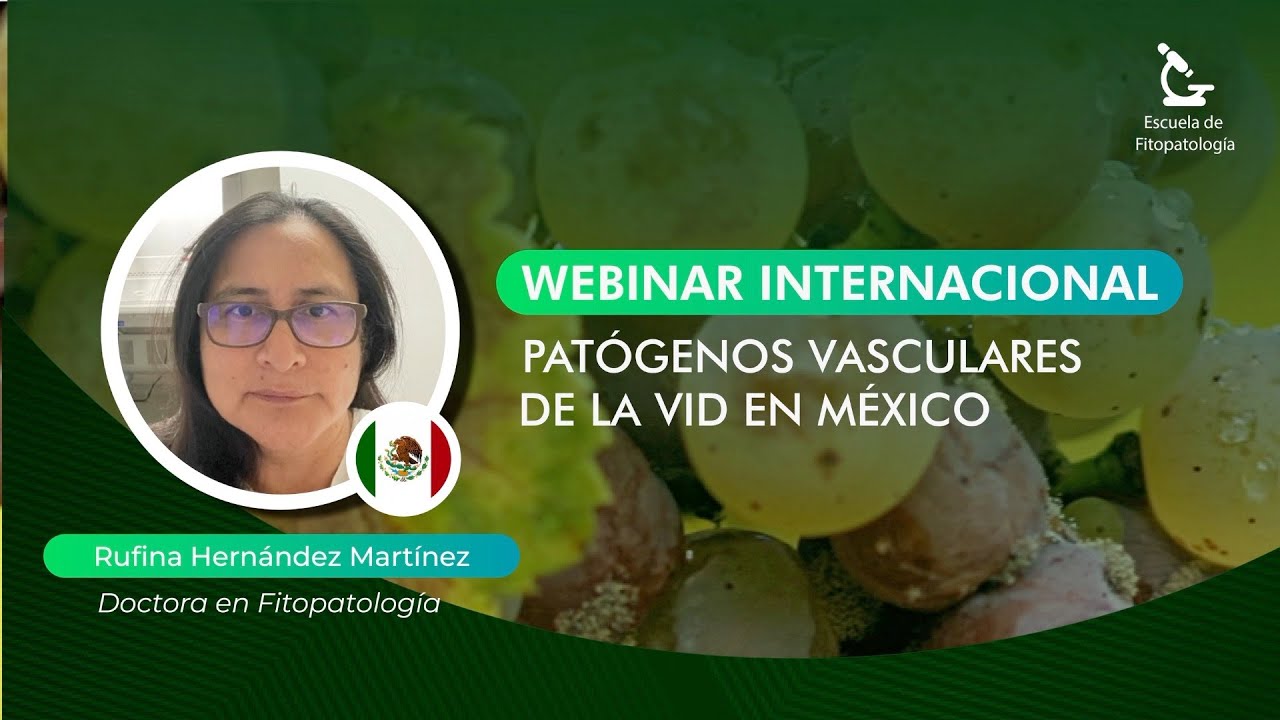 Patógenos Vasculares de la Vid en México