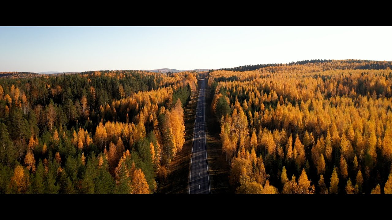 Autumn In Eastern Finland 4K