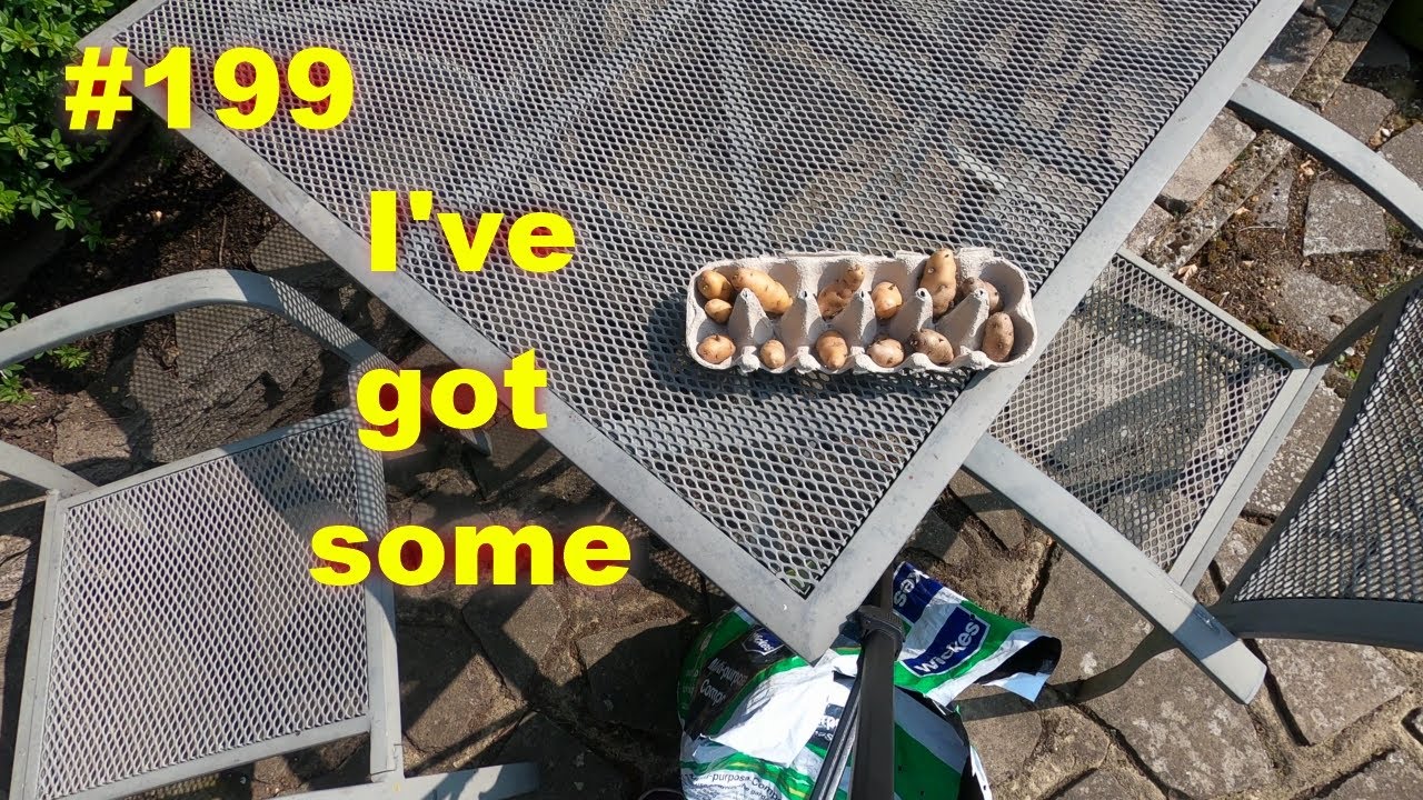 # 199 | At last i've found them | potting on | gardening with chris.