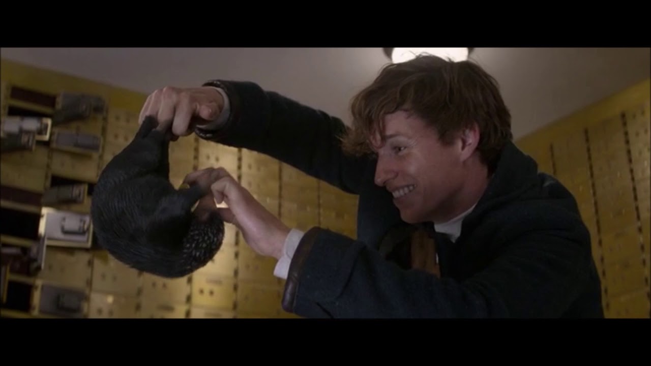 Newt Scamander -  To The Sky