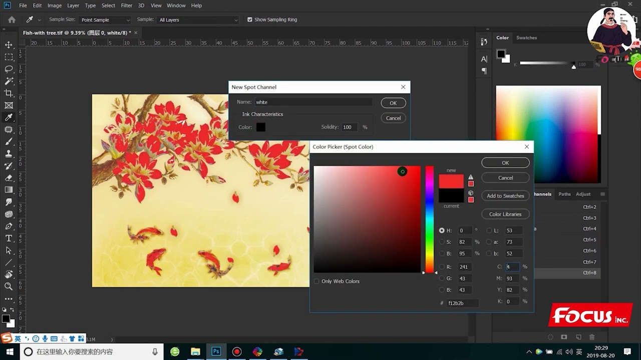 12 Focus Alpha Max 6250 Installation Tutorial 12 Photoshop spot channel making process