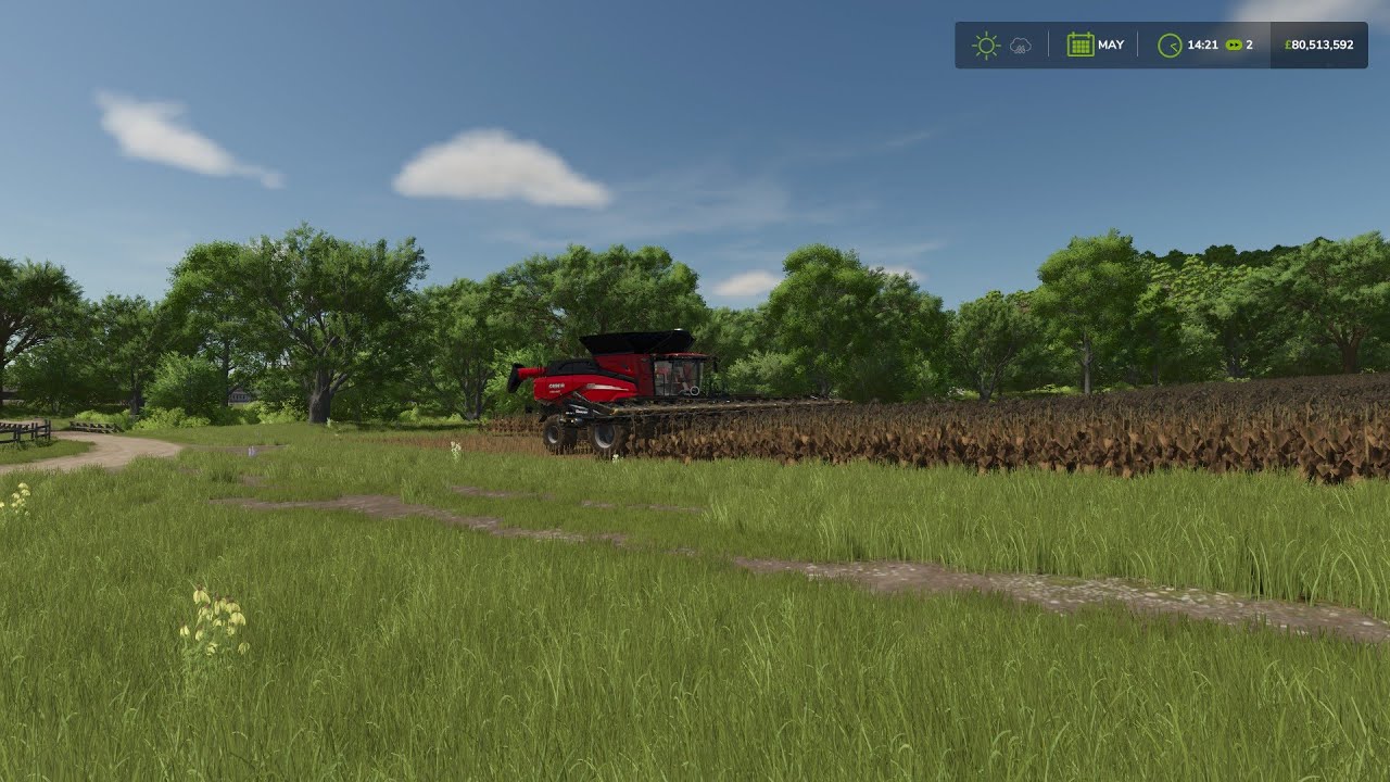S4 #EP25 preparing corn and harvest rest of sunflower fields