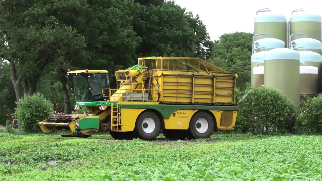 PLOEGER MK 2140 AAN HET SPINAZIE OOGSTEN