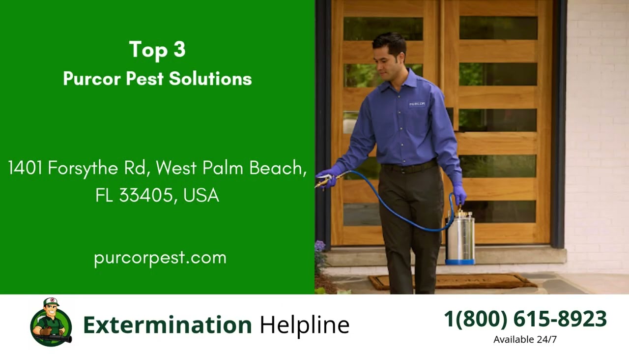 Top 3 Exterminators in West Palm Beach