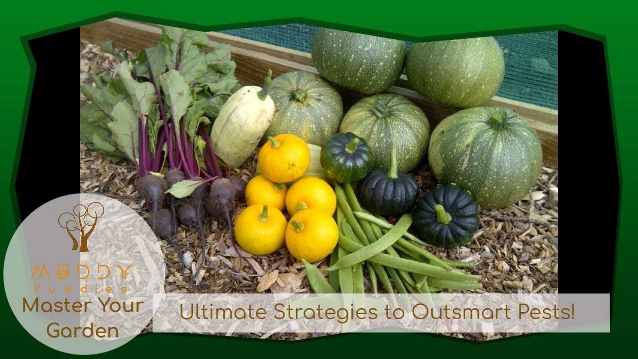 Master Your Garden: Ultimate Strategies to Outsmart Pests Before They Strike!