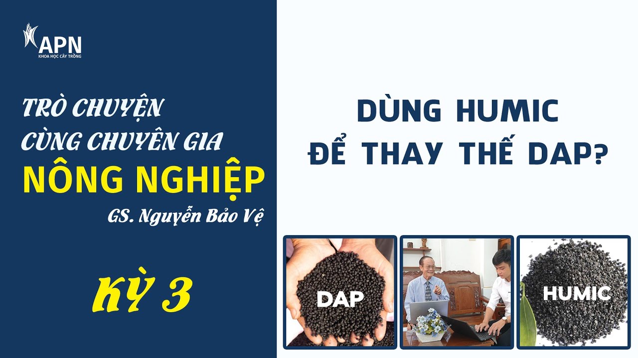 APN - DÙNG HUMIC ĐỂ THAY THẾ PHÂN DAP ĐƯỢC KHÔNG?