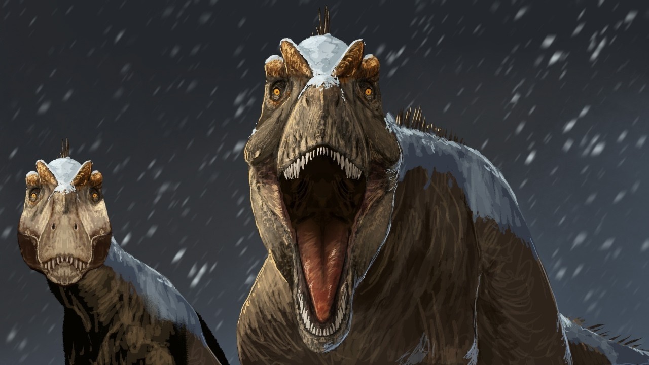 Das Massenaussterben das uns die Dinosaurier brachte