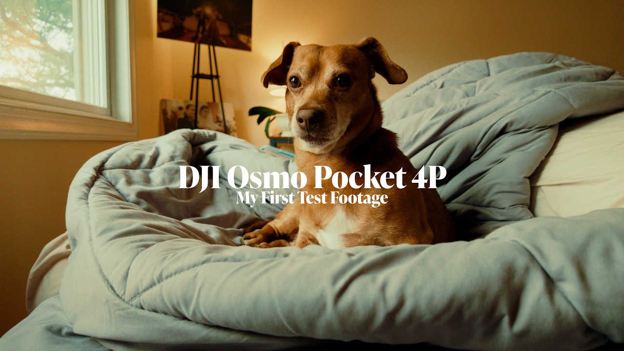 DJI Osmo Pocket 3 &mdash; мои первые тестовые съемки