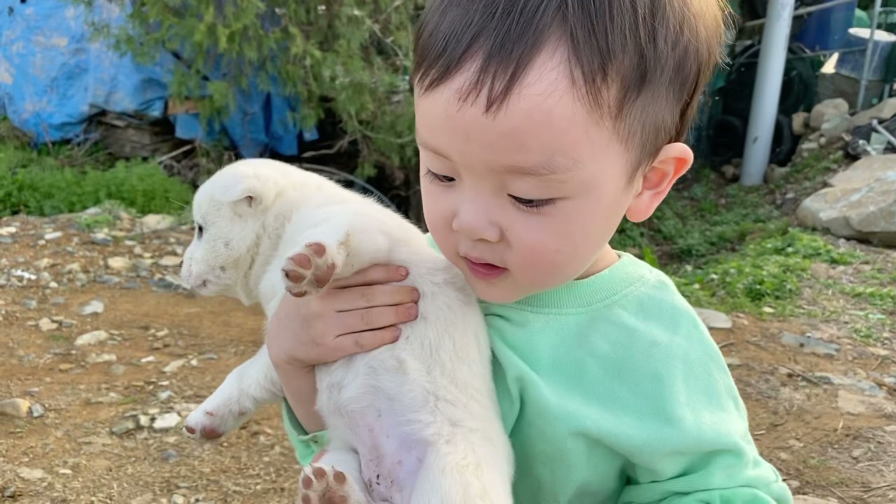 (토리동동) 시고르자브종과 예니동이