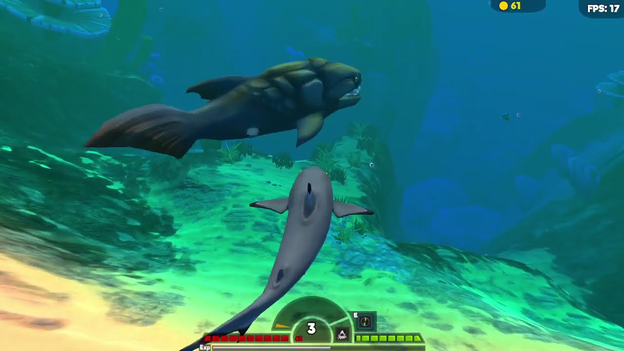 Blacktip Shark Old - Ocean (hard) | Feed And Grow Fish