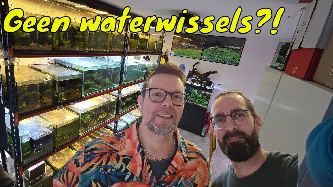 Caridina garnalen kweken ZONDER WATERWISSELS?! Ramon legt het uit!