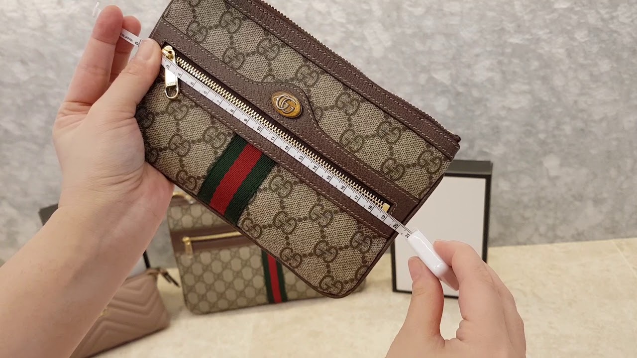 Reveal 1/3 Gucci MiNi + Regular 💖 Ophidia pouch / Marmont Mini pouch