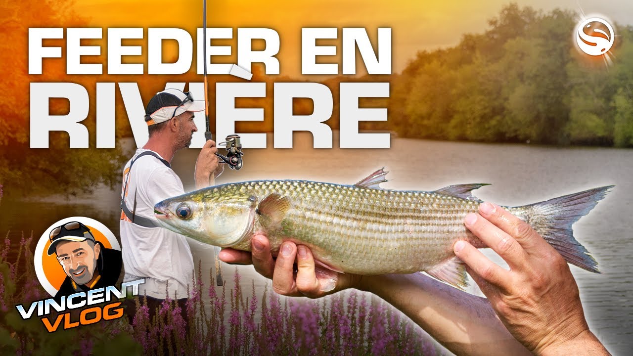 Pêche au Feeder en Rivière - Vincent VLOG #21